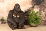 Gorilla beeld - goud - 61 cm