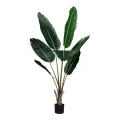 Konstväxt Strelitzia – grön – 135 cm – 1 styck