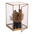 Displaybox - goud - messing en glas - 40 cm